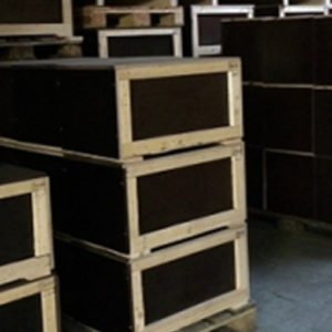 Export Pack