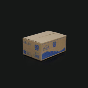 Regular Slotted Container (RSC)