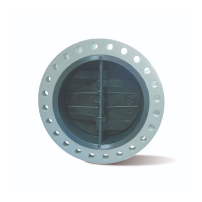 Dual Plate Check Valves