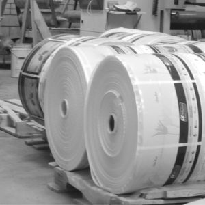 bags & rolls printing
